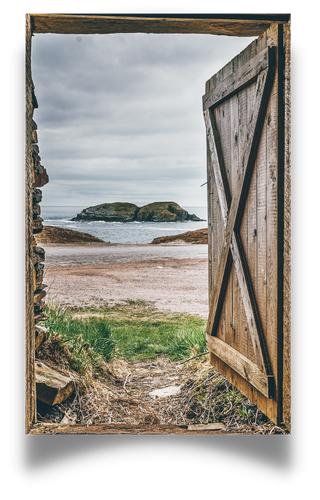 Bouitque Care_Web Graphic (1)