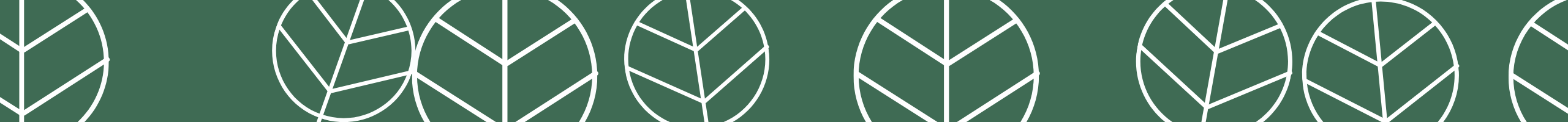 Copy of Boutique Care Website Header Copy of Boutique Care Website Header